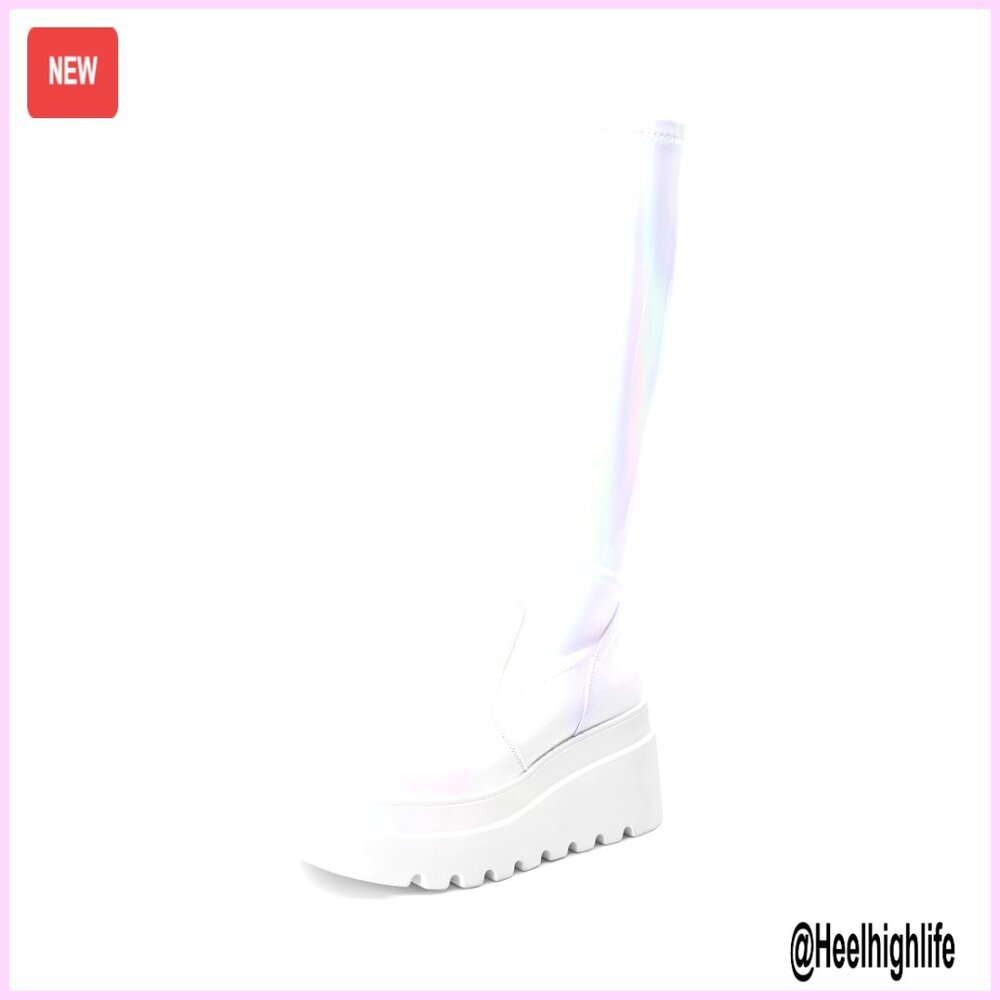 Knee High Platform Boots Wedge Chunky Heel Side Zipper Punk Goth